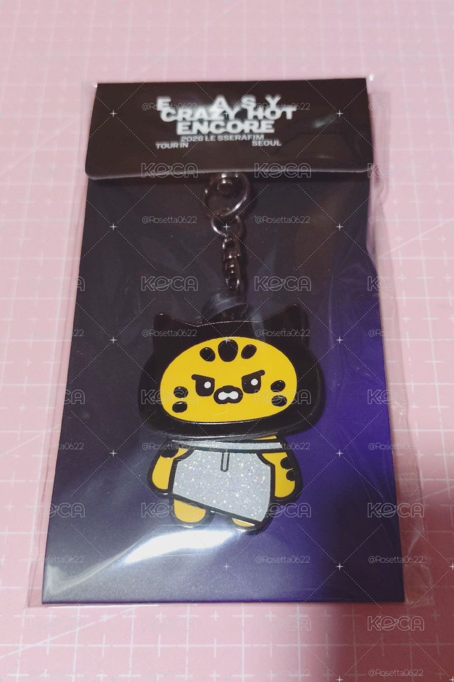 25‘巡迴 首爾安可 鑰匙圈吊飾 FIM'S CLUB Metal keyring 采源