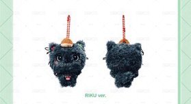 NCT WISH - Riku口袋娃