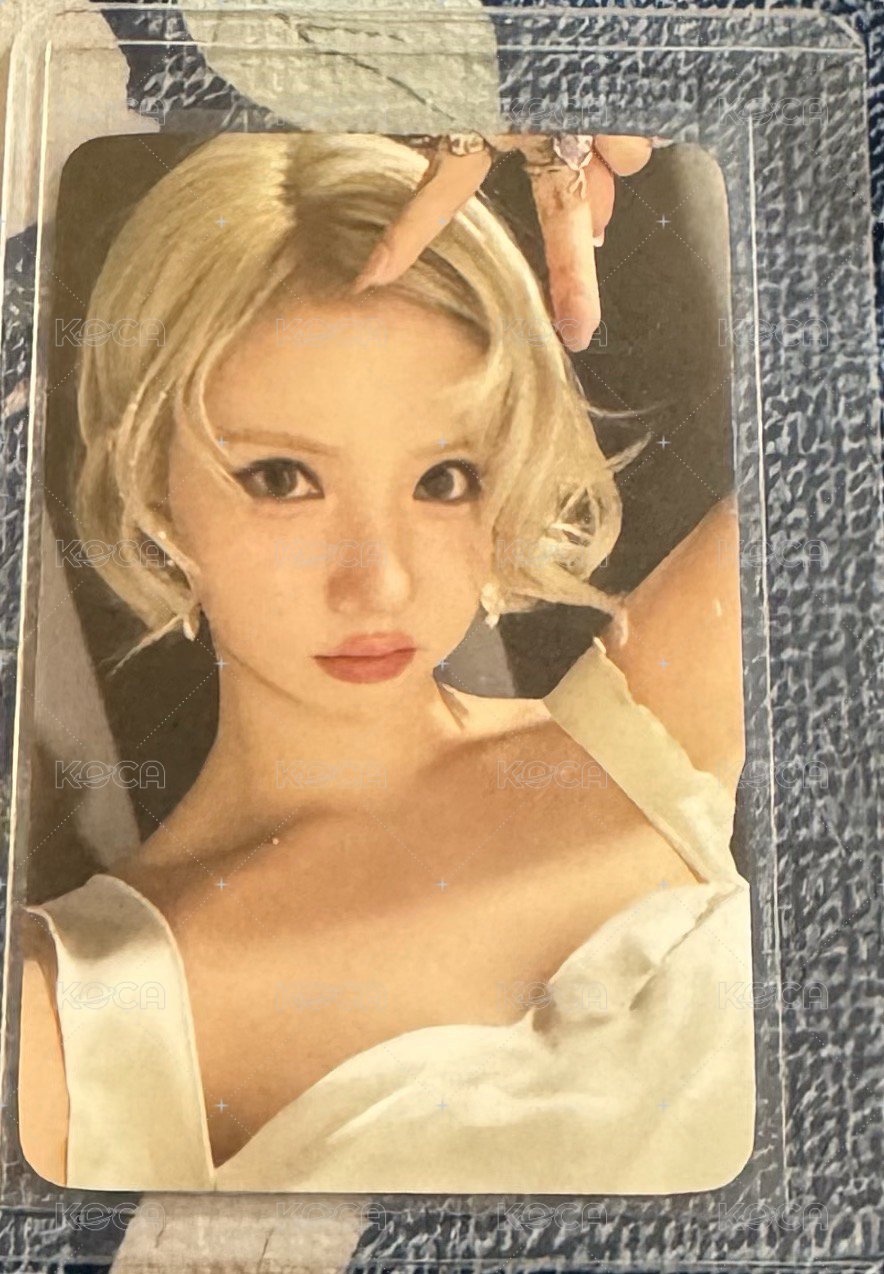 正一貓耳河