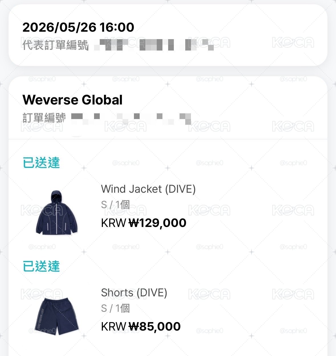 二手Arirang 游泳隊服 DIVE短褲S號 