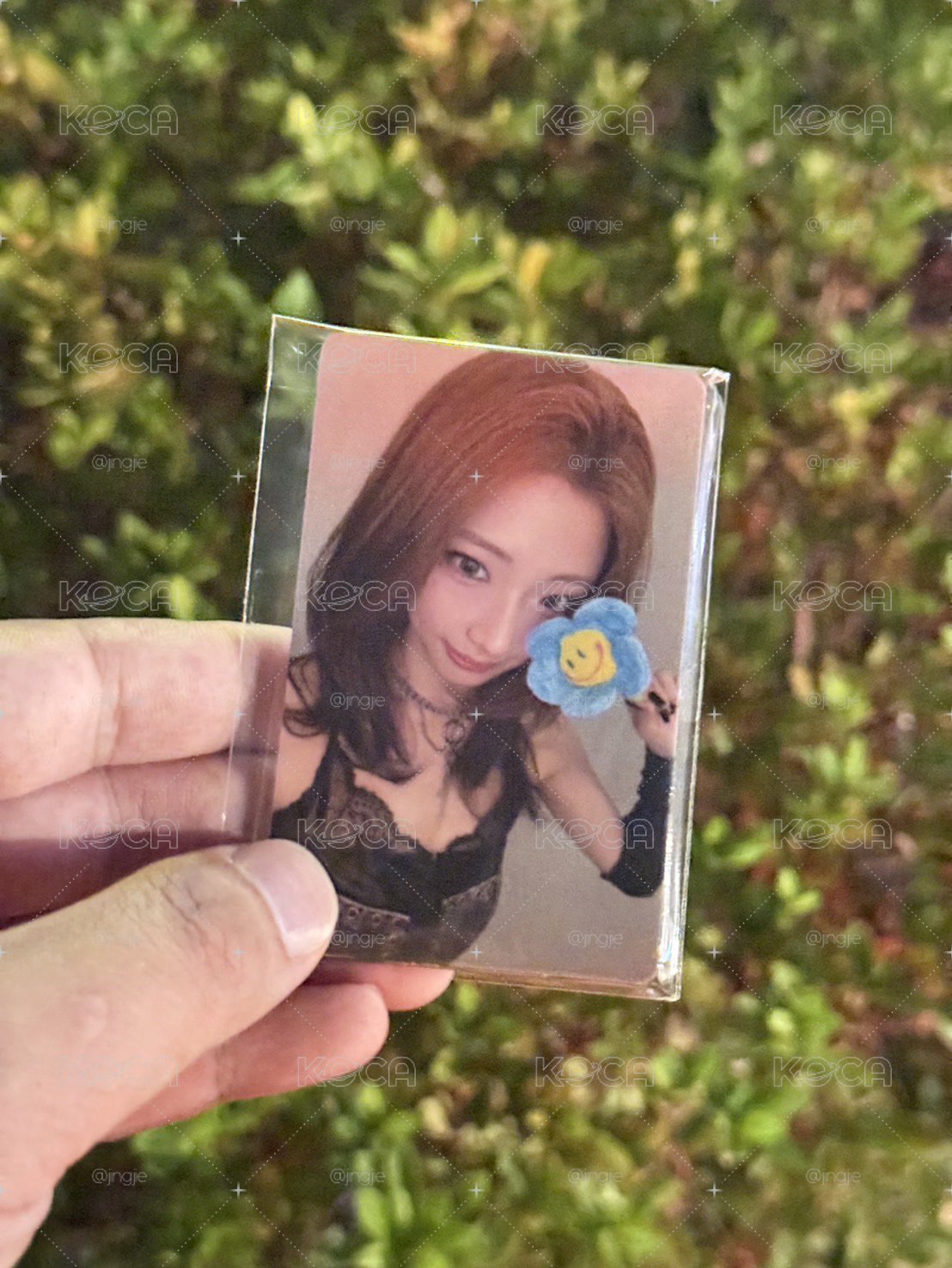 BABYMONSTER｜🇯🇵二巡 拿花入場卡一套