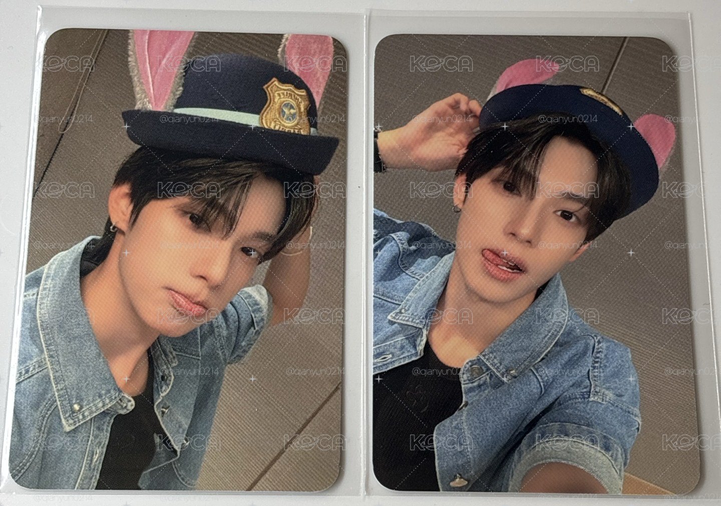 wm 動物方城市 🐰