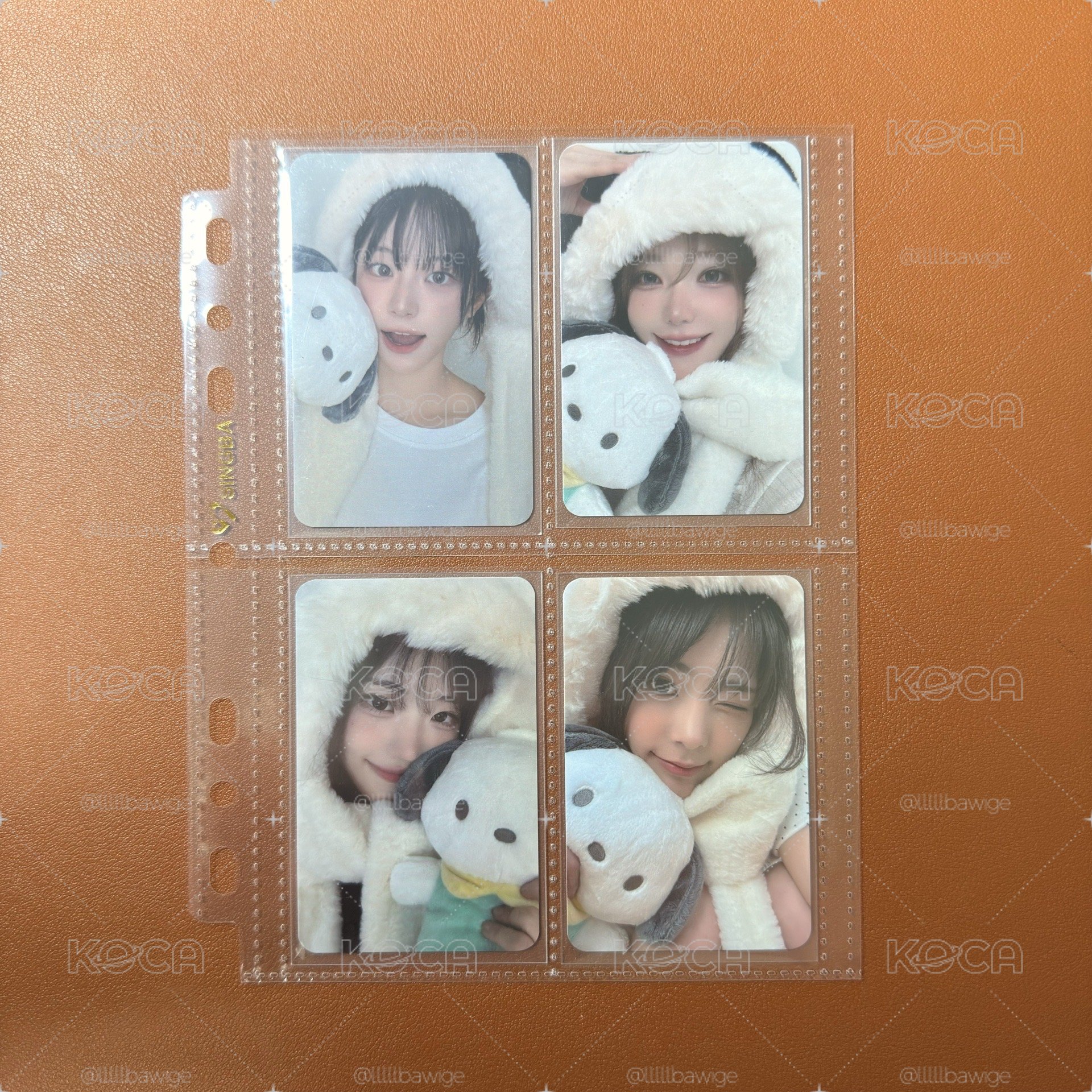 QWER 迷三 帕恰狗特典卡《一套》