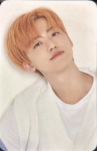 mernel 泰網 代言卡 