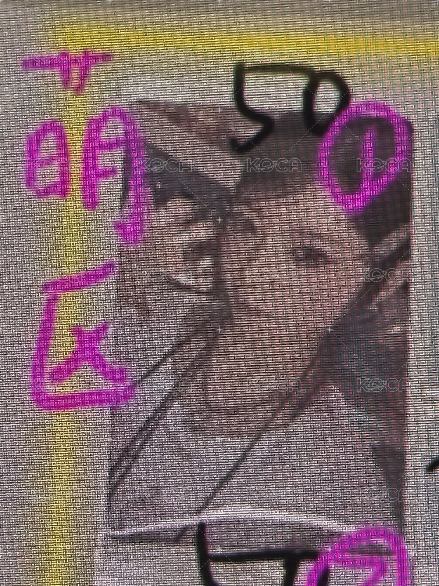 萌區1