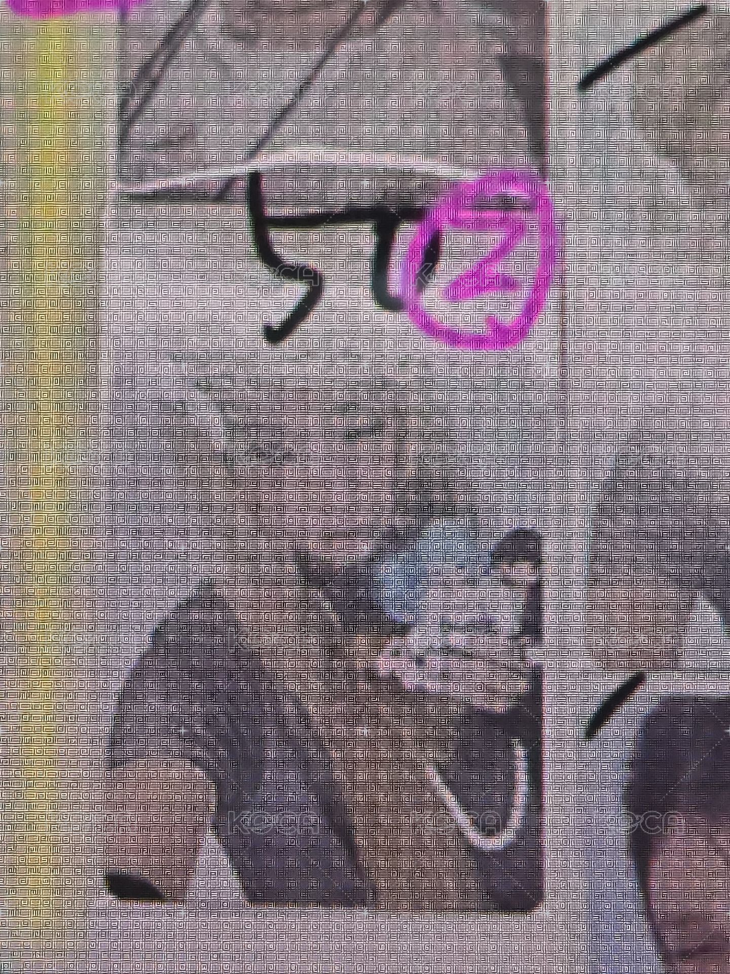 萌區2