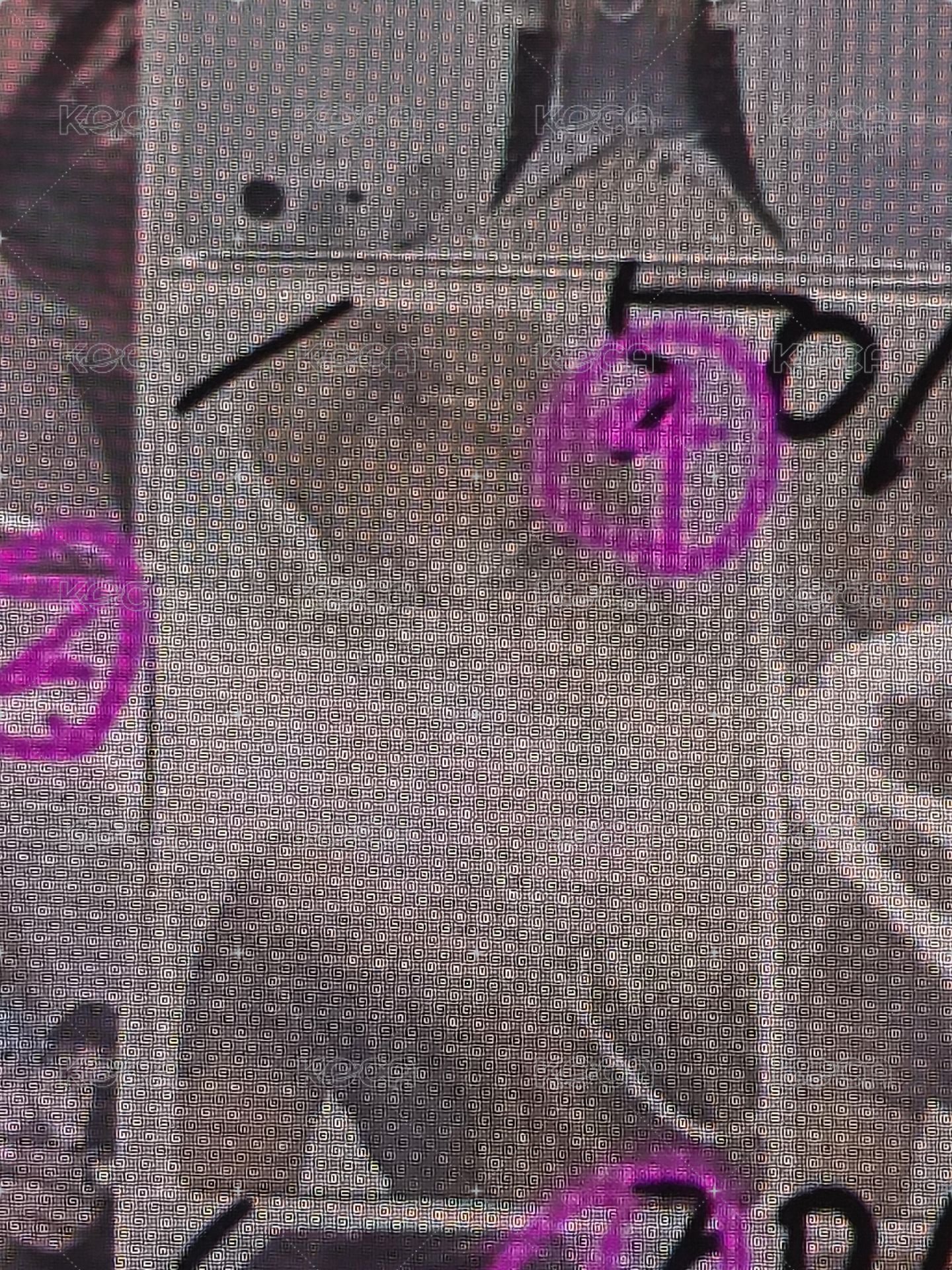 萌區4