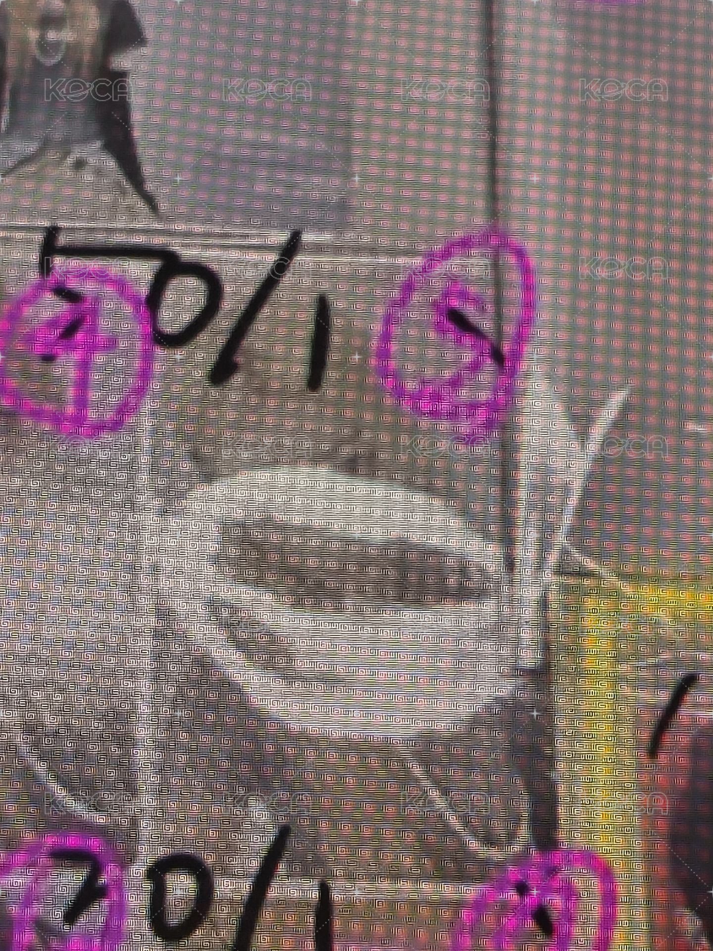萌區5