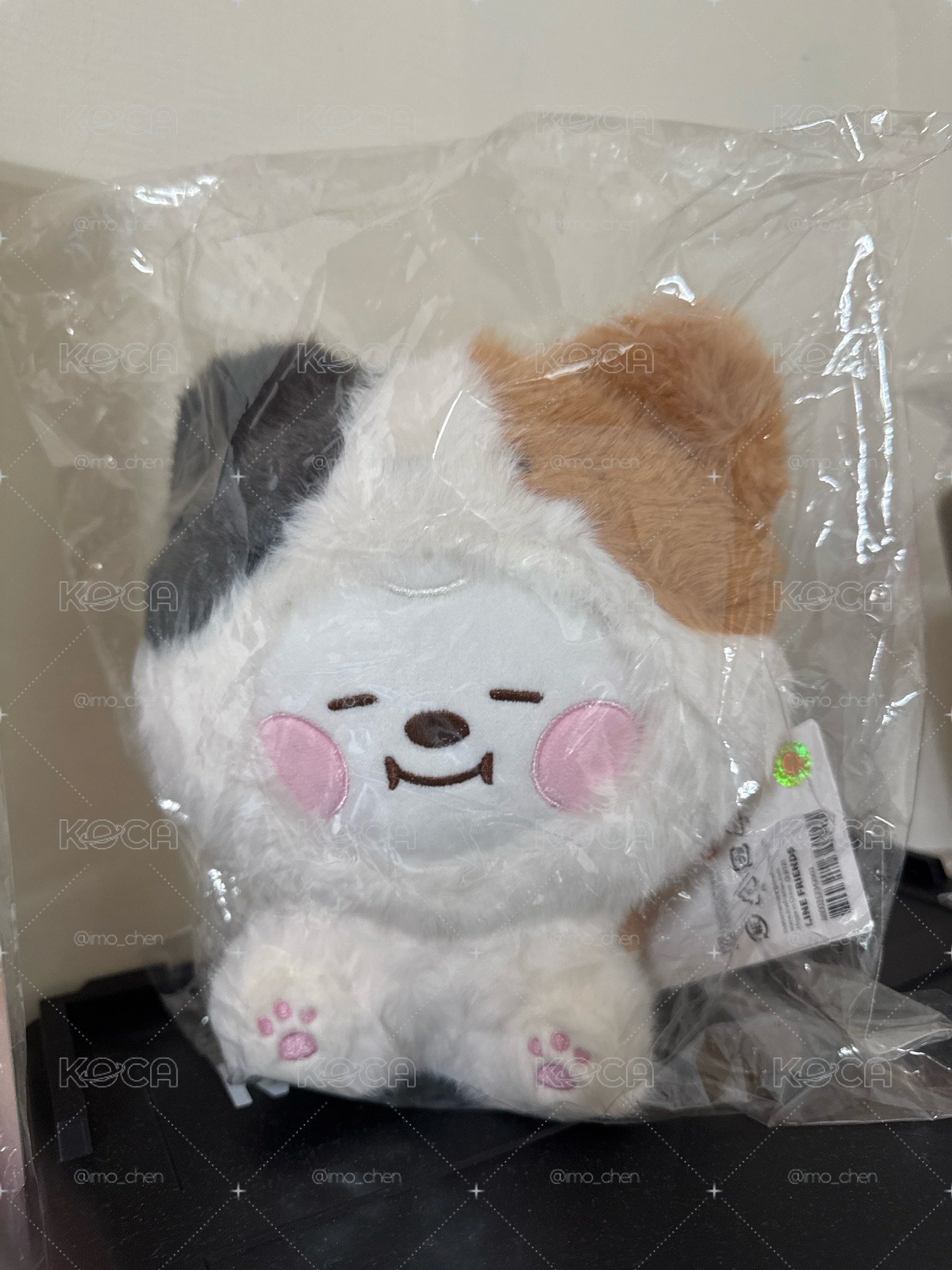 BT21 Baby MORE FLUFFY 大娃