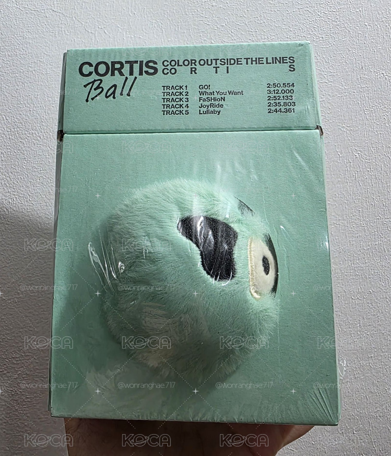 Cortis 毛球專
