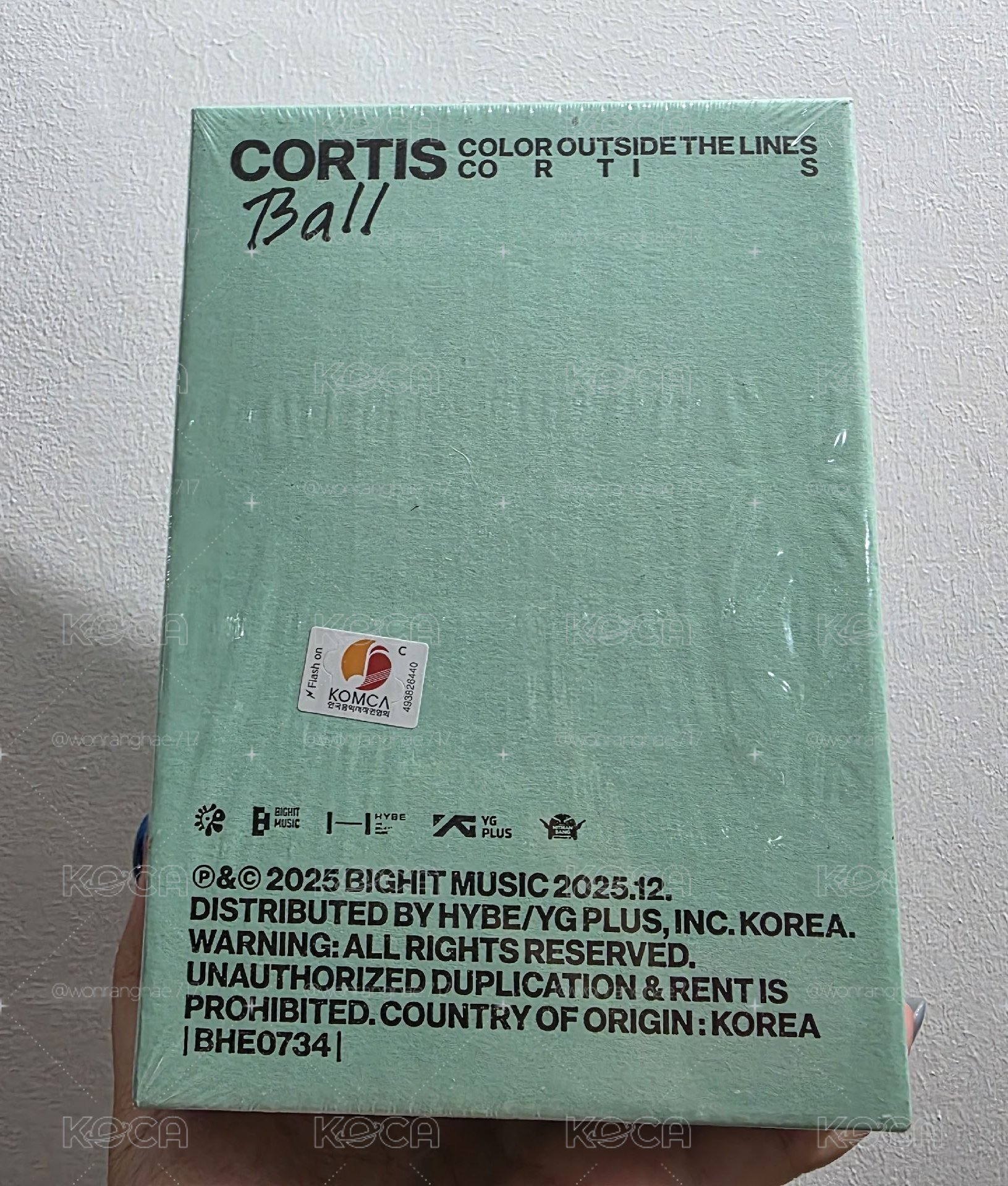 Cortis 毛球專