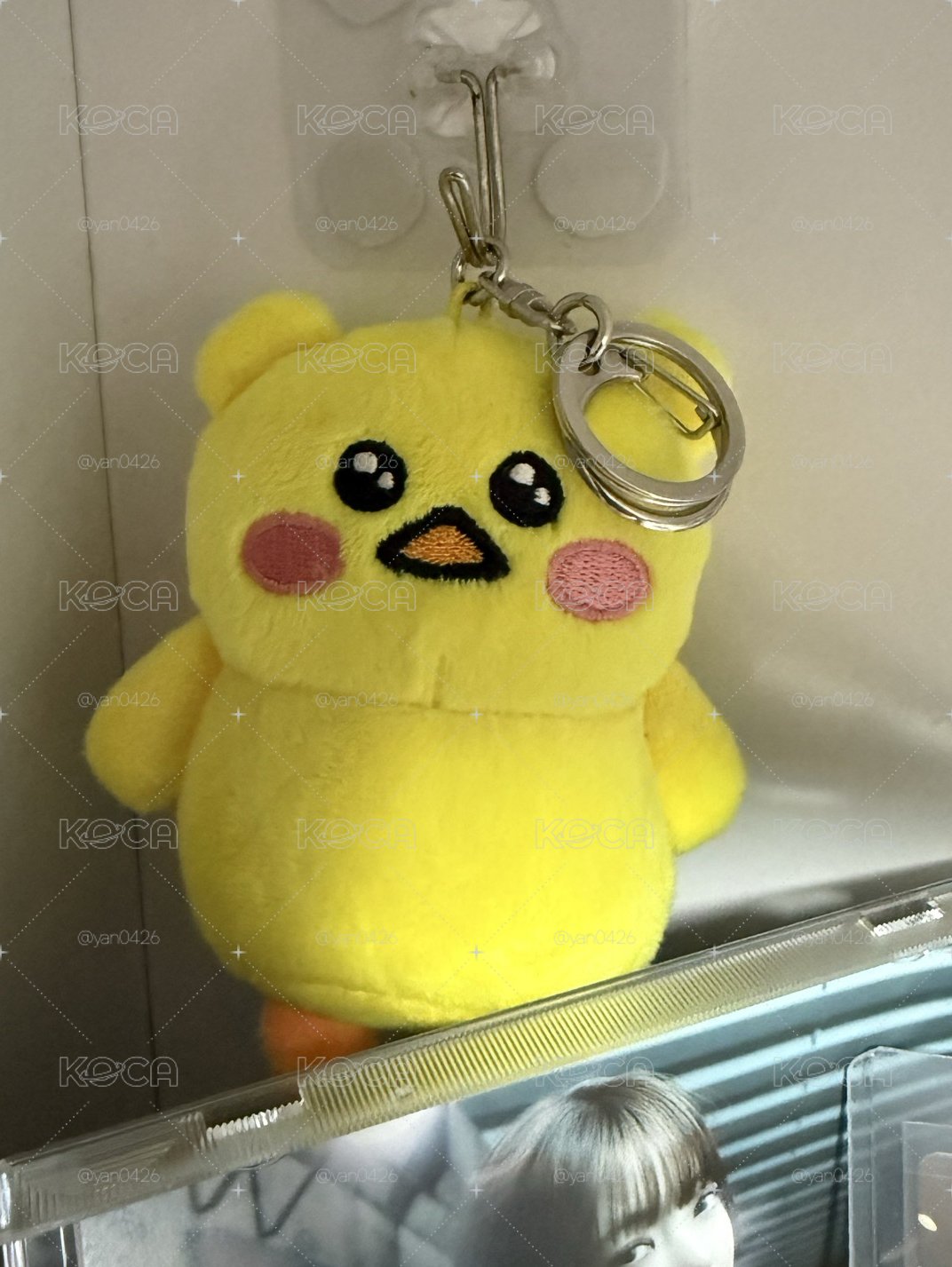 hongpipi