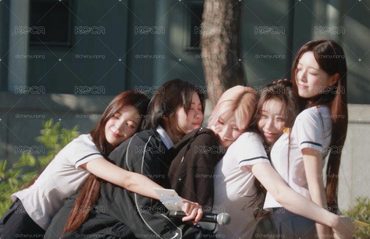 ʚ itzy 小卡福袋 ɞ