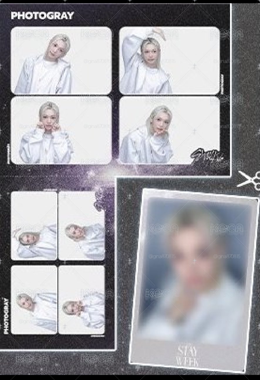 PHOTOGRAY 人生四格卡 / 拍貼 2026 STAY WEEK