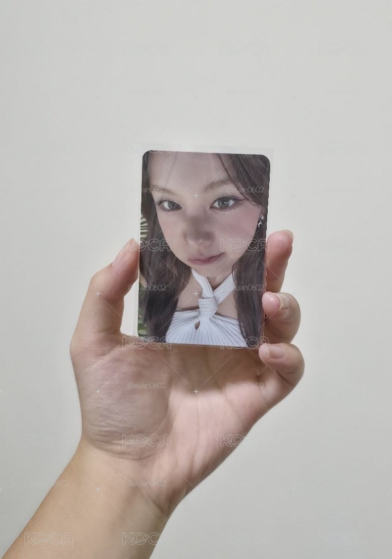 新一代塔塔王🦌💗