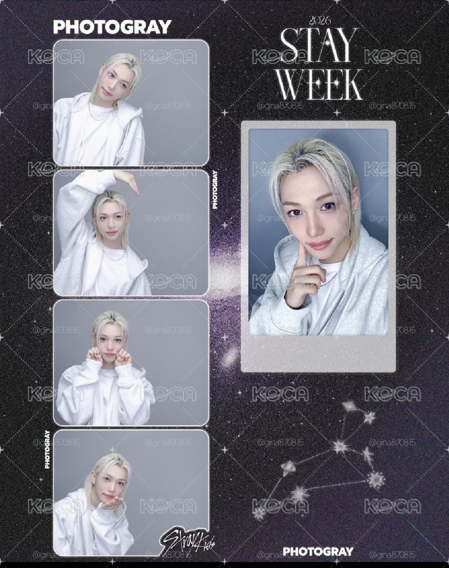 PHOTOGRAY 人生四格卡 / 拍貼 2026 STAY WEEK