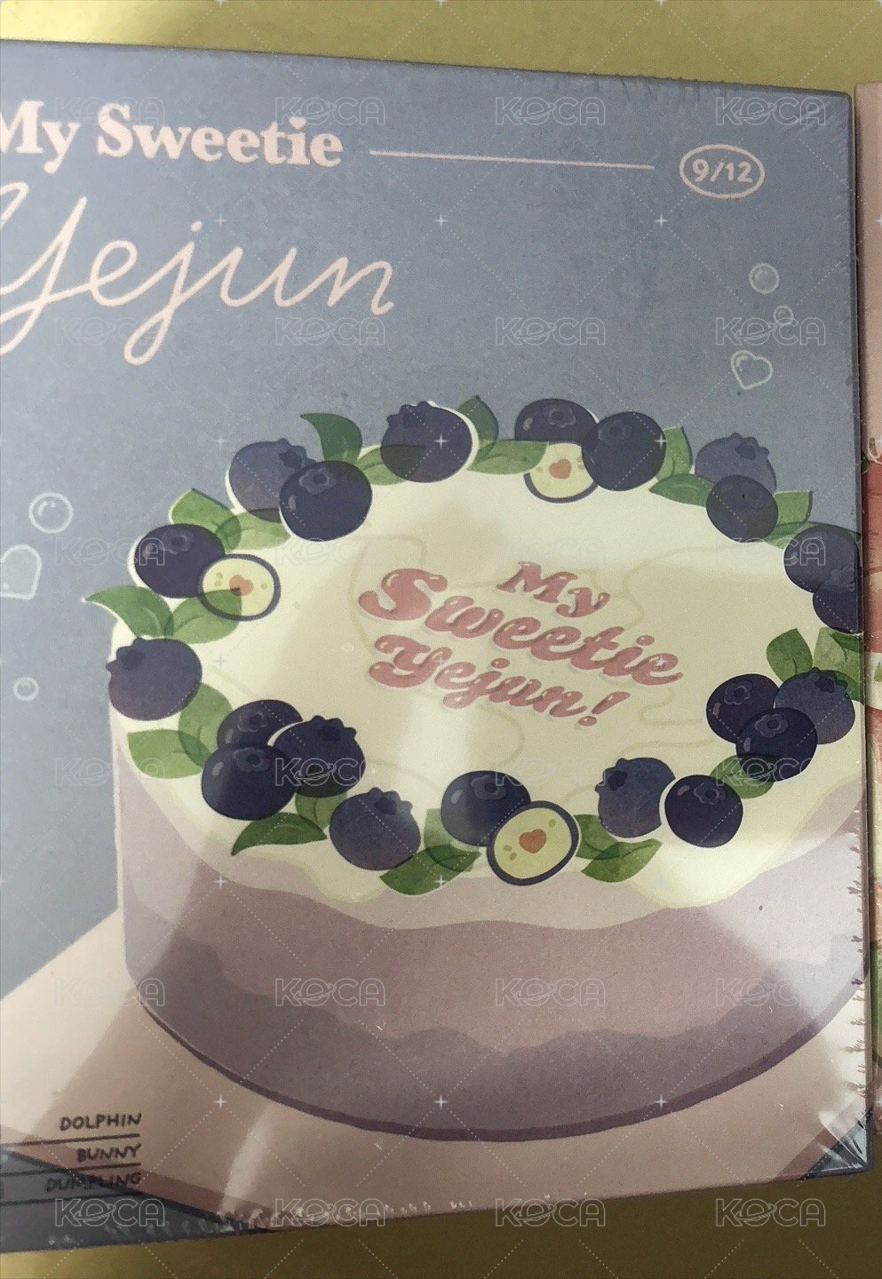藝俊2024年+2025年生日禮