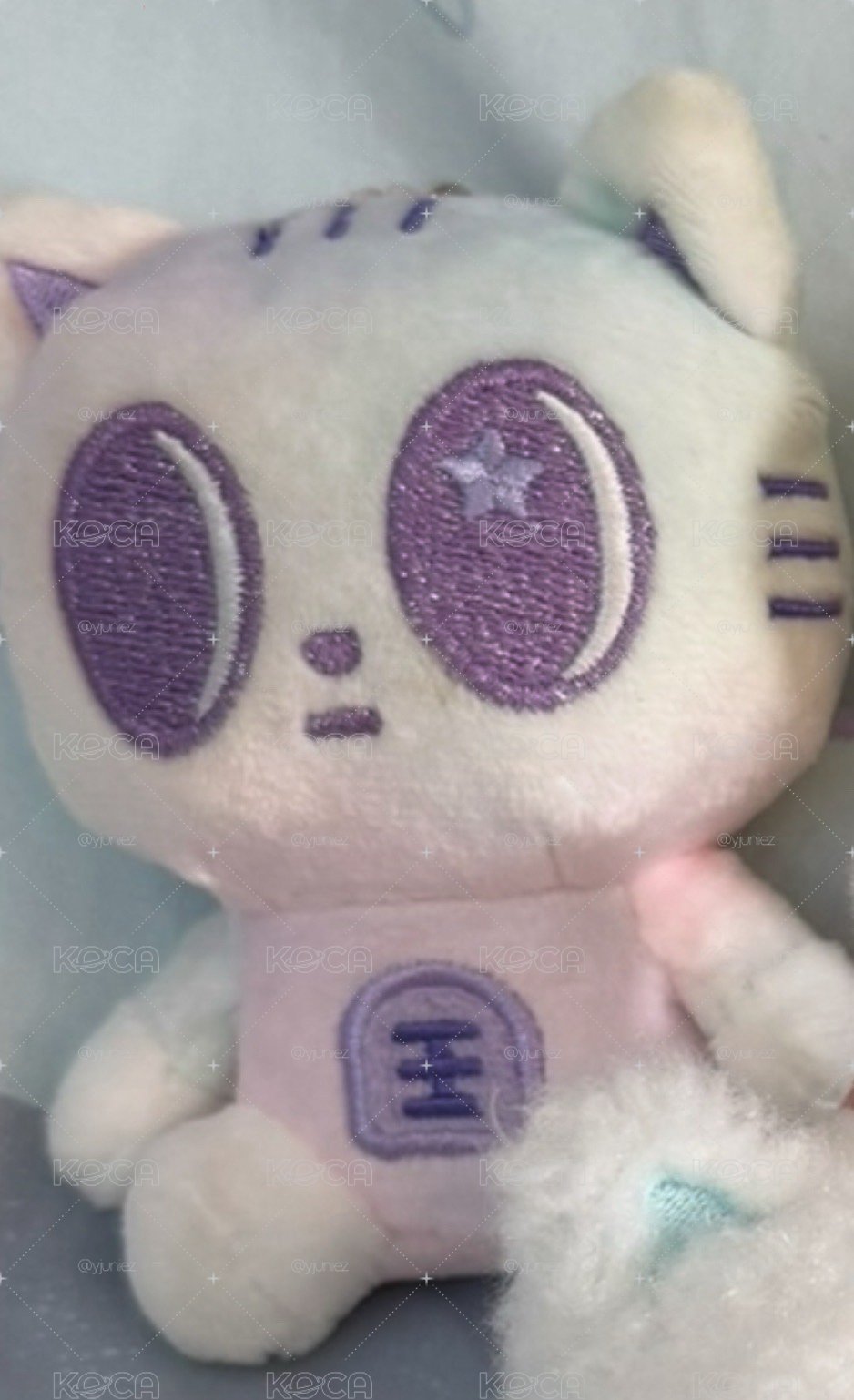 彩喵盤