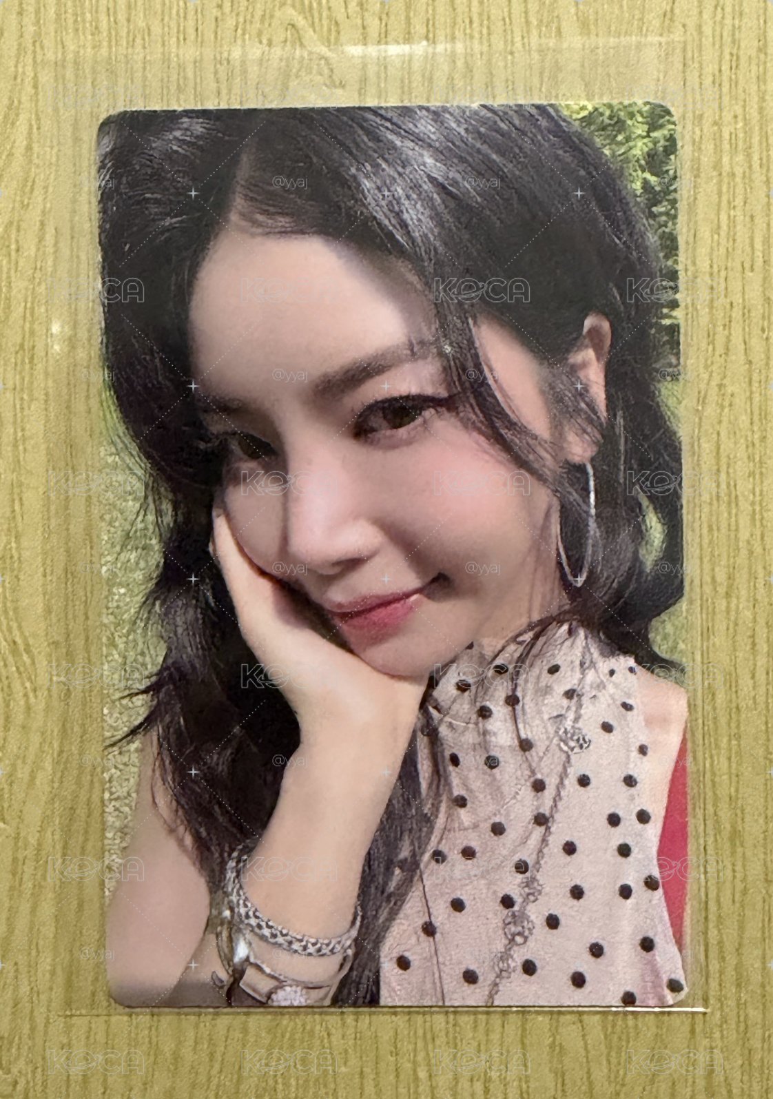 MAMAMOO 容專卡