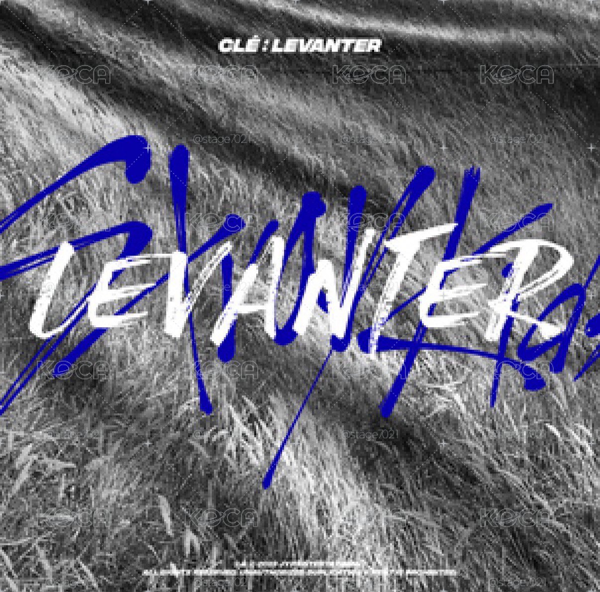 Stray Kids｜Clé : LEVANTER
