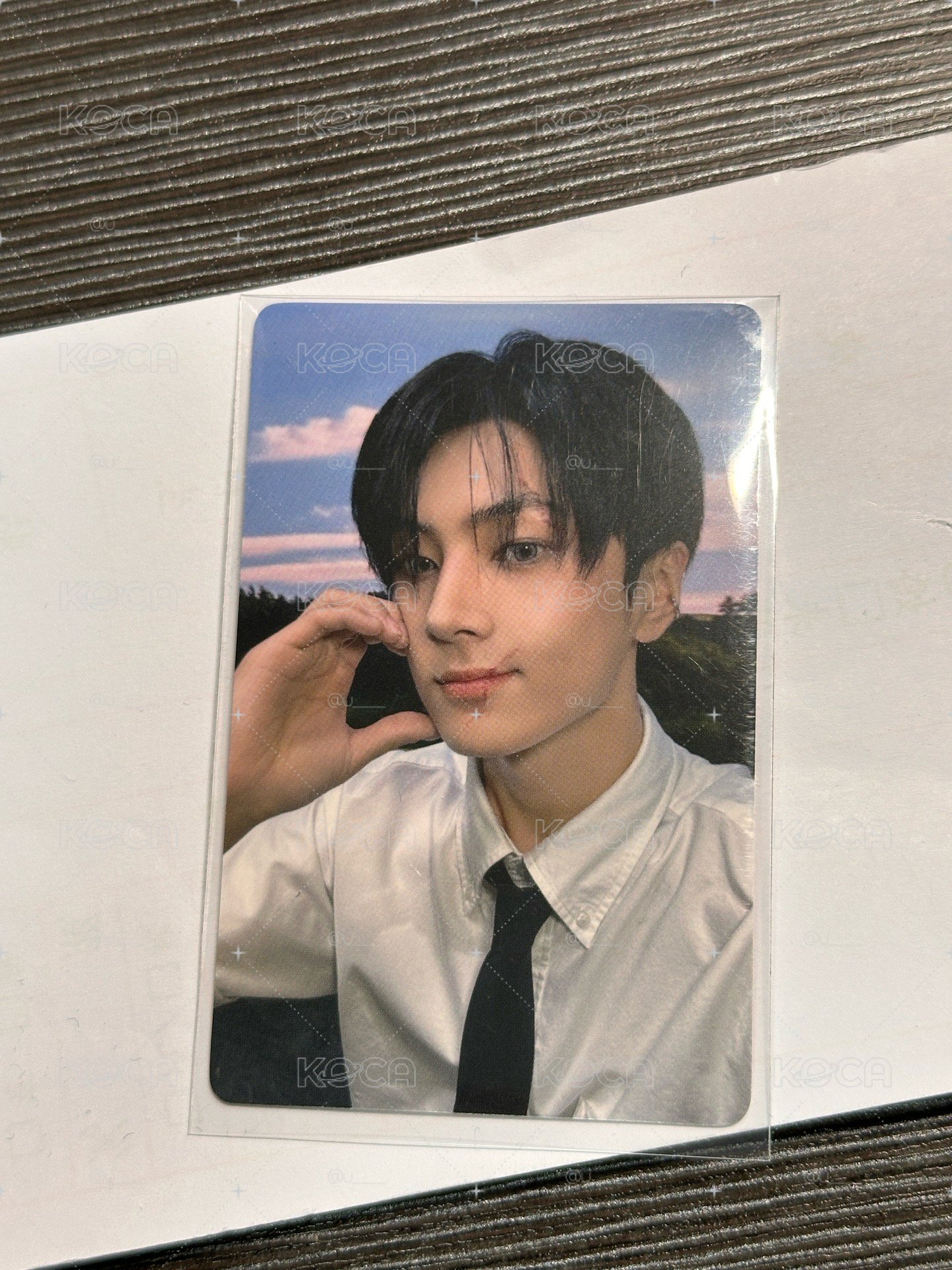 中文卡背 綜意你/快樂小狗卡