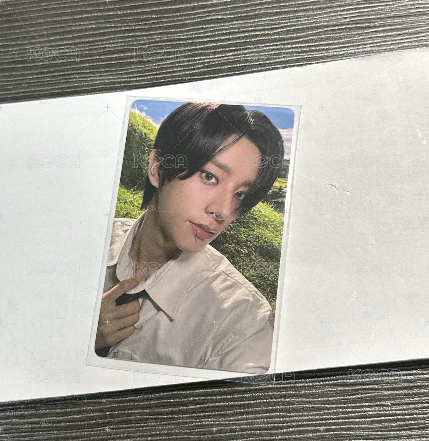 中文卡背 綜意你/快樂小狗卡