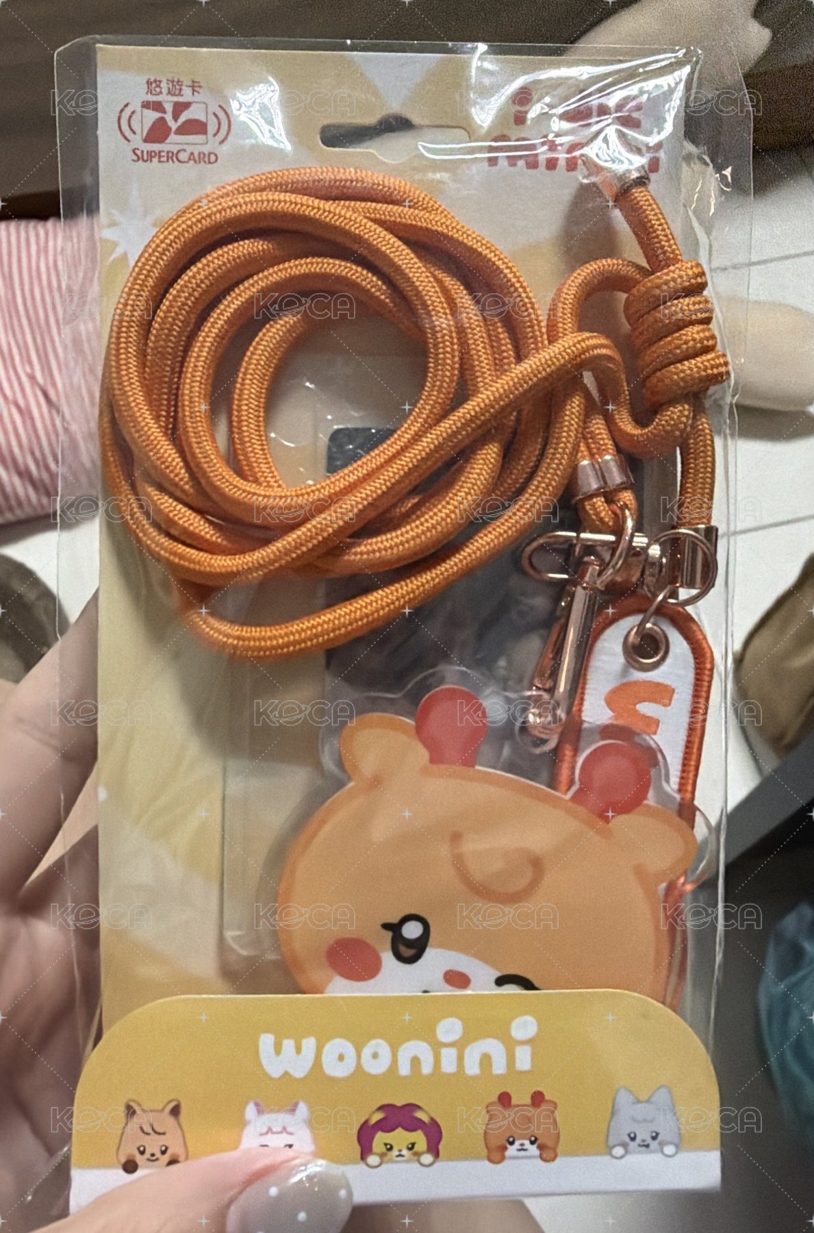 雨琦