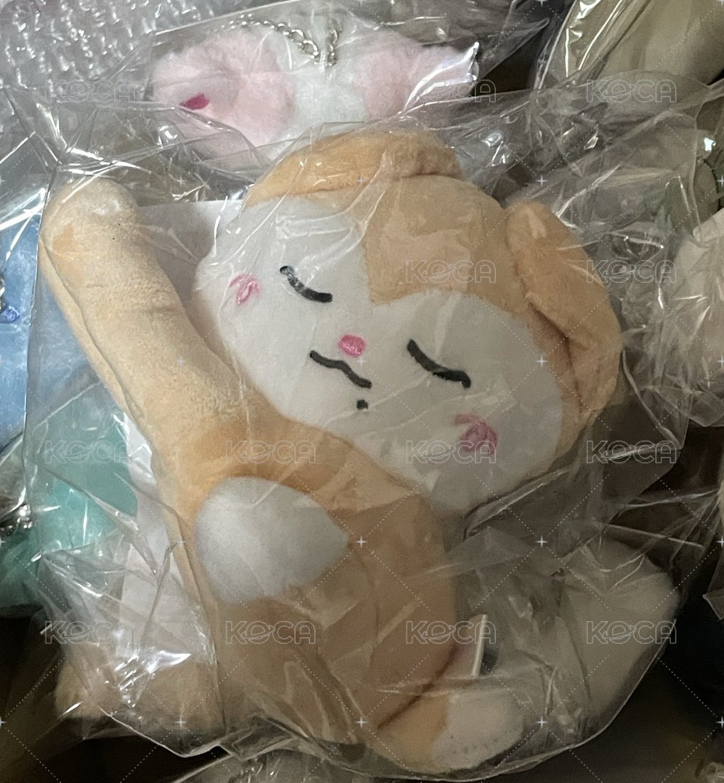 2026 FM fans TWINZY 手燈套- RyeoWoo