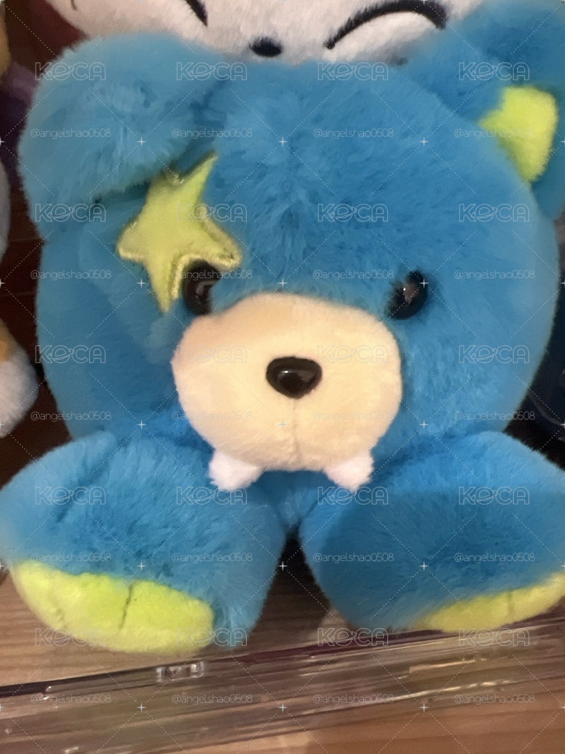 朴綜星 娃專