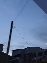 盆栽