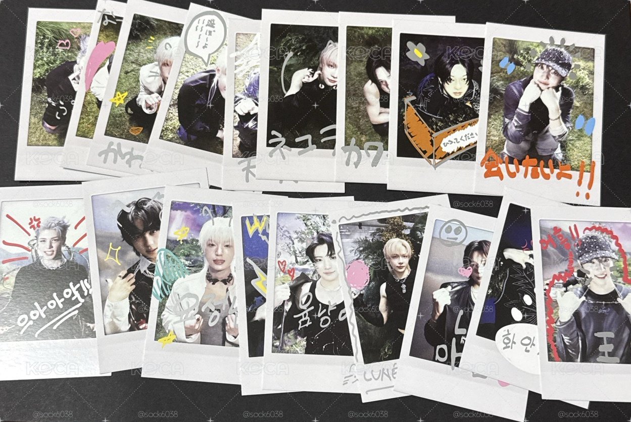 現貨🐺BTL 專輯卡 WVS Albums ver.拍立得（兩版一組）