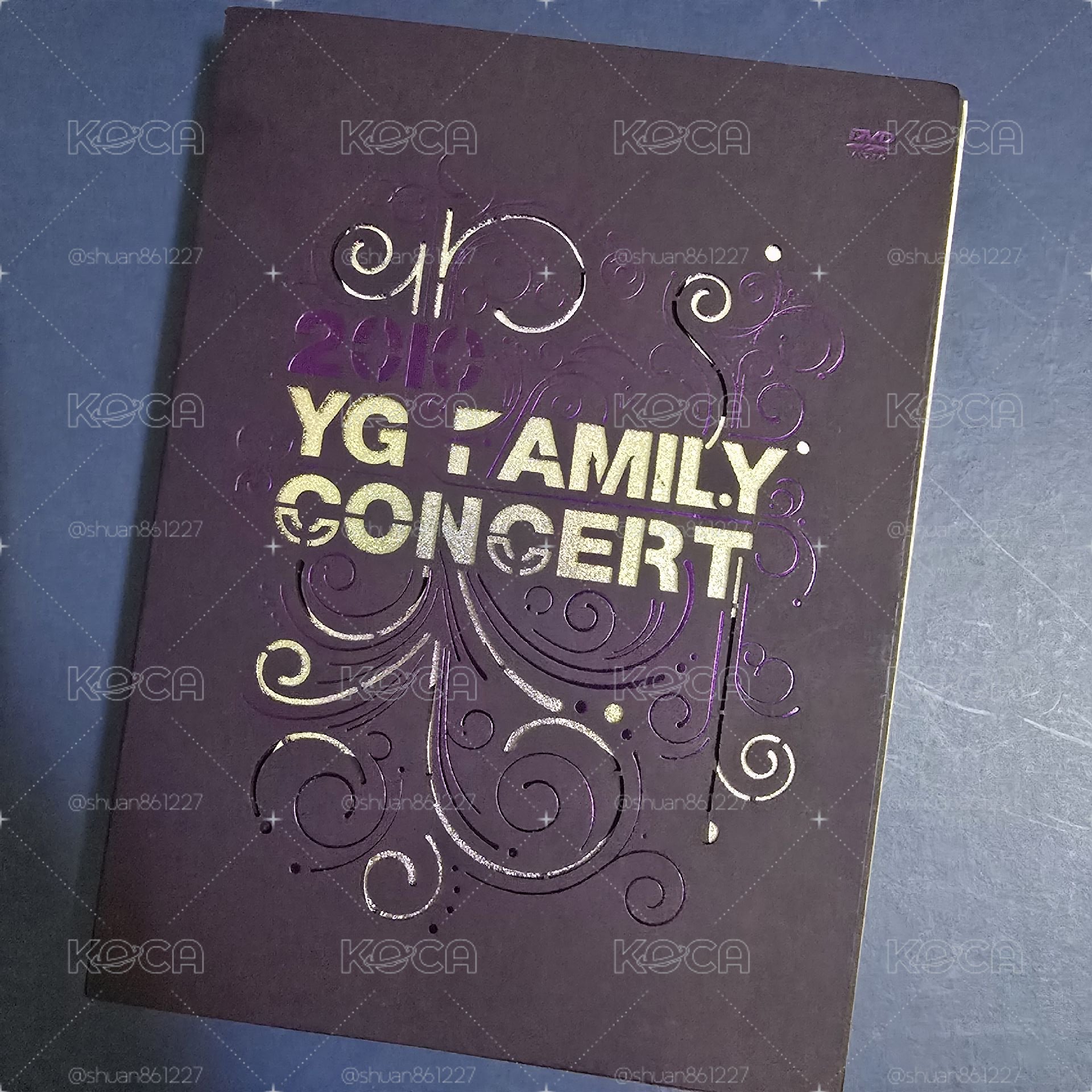 2010 YG FAMILY 演唱會DVD+寫真