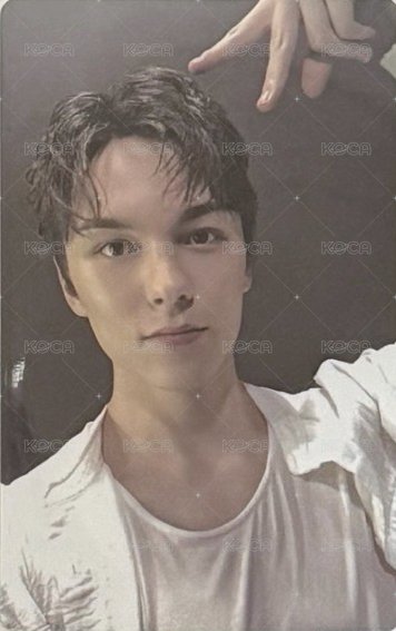 迷12 wvs特典