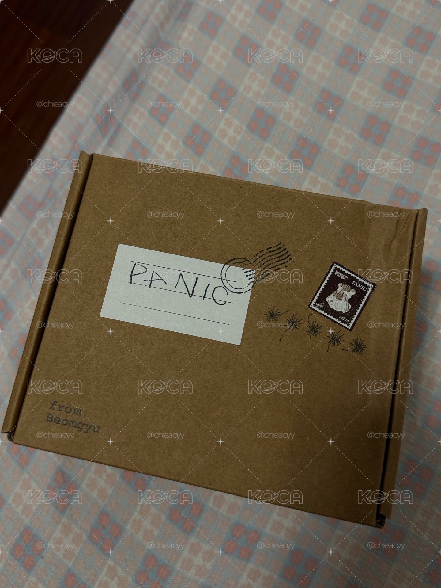 panic全專