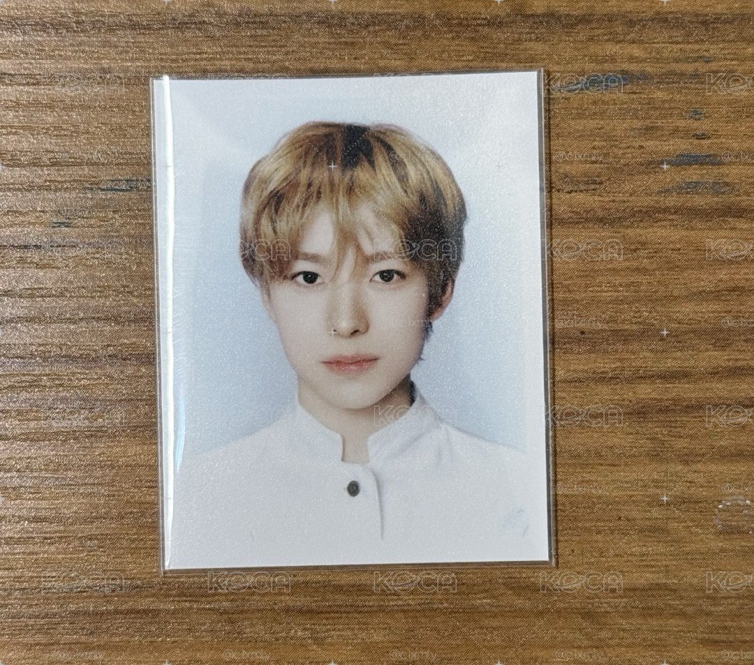 NCT WISH小卡、證件照