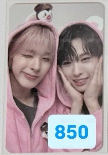 🐧🐿️雙人850（550）