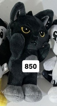 🐈‍⬛娃850（350）