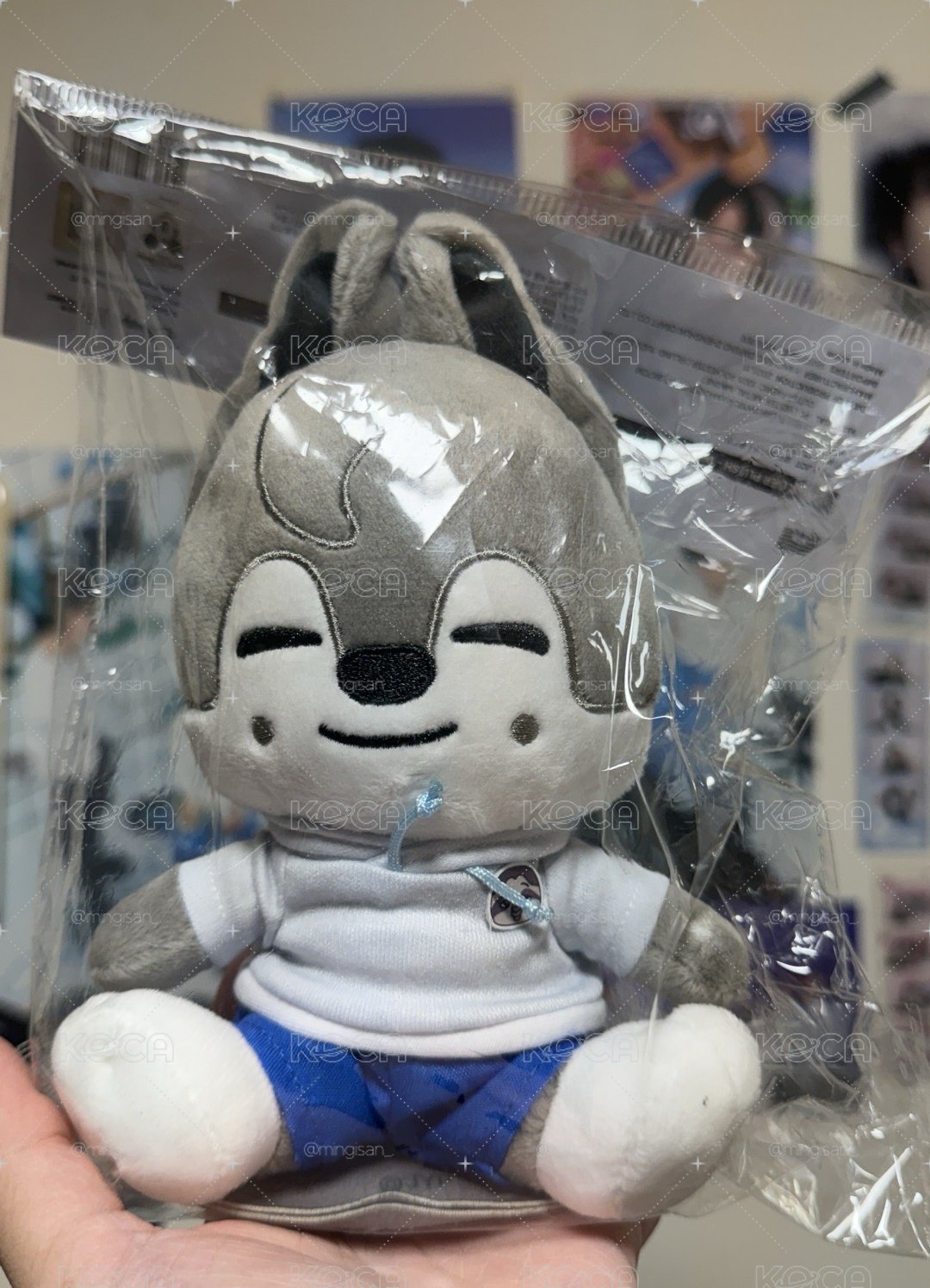 動物方城市燦坐娃
