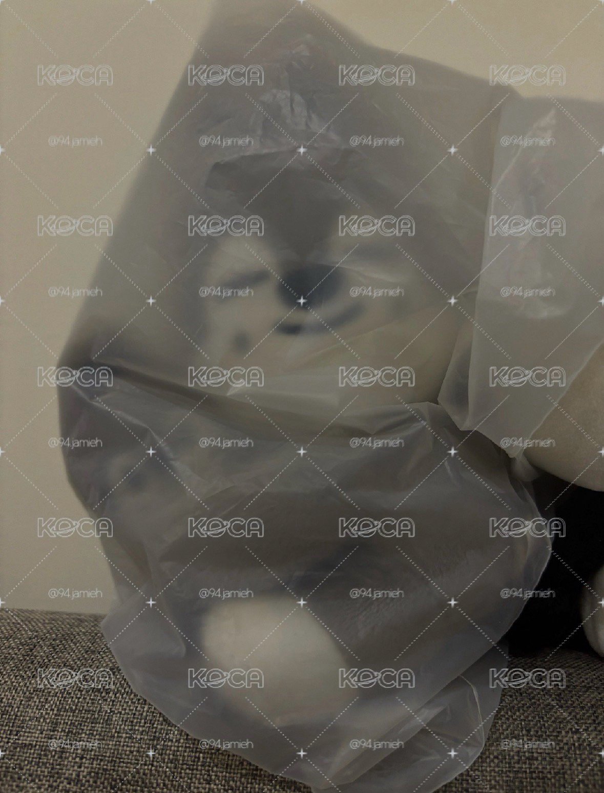 燦🐺磁吸抱抱娃
