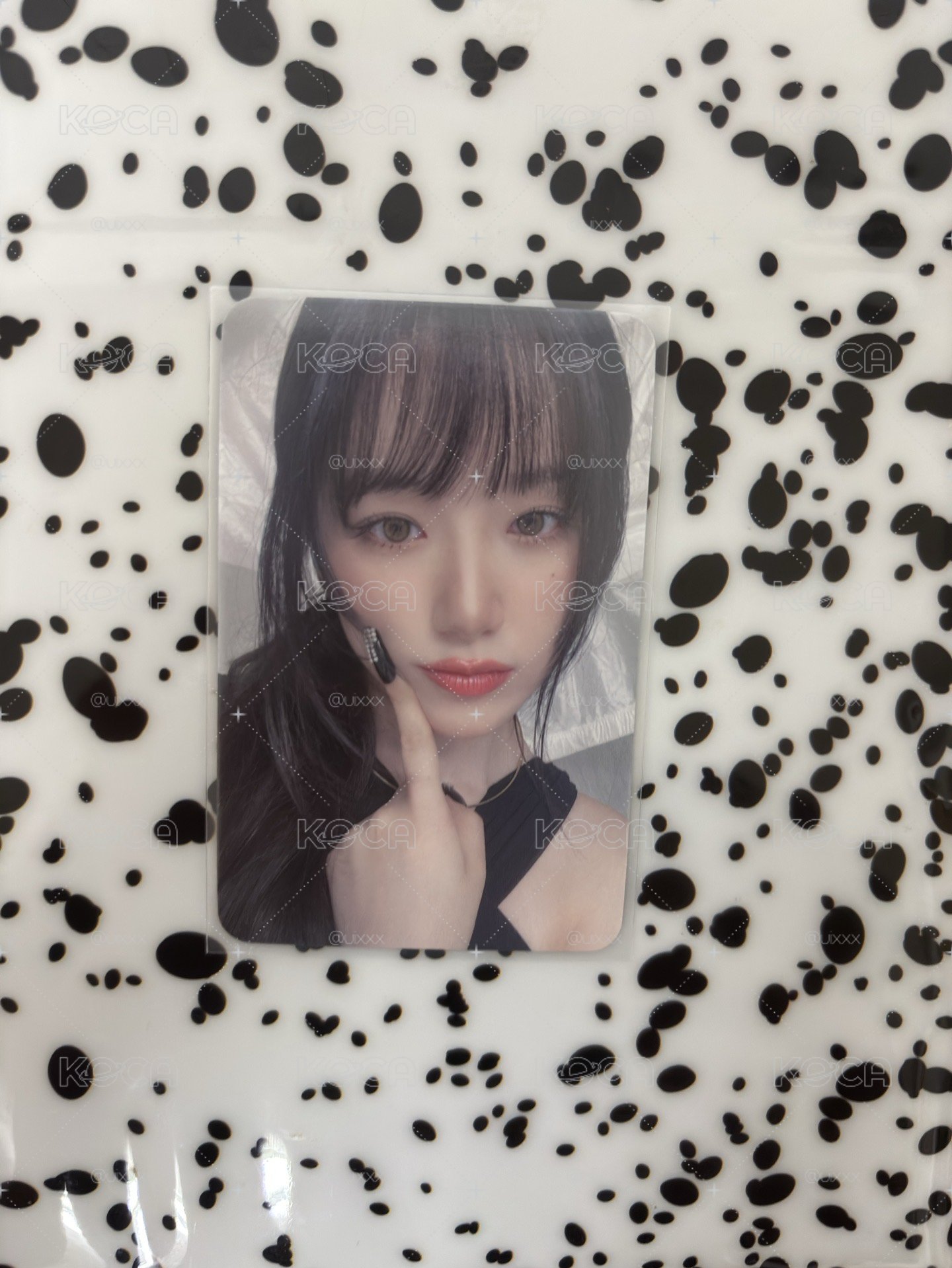 中背舒 一口吃掉小舒包