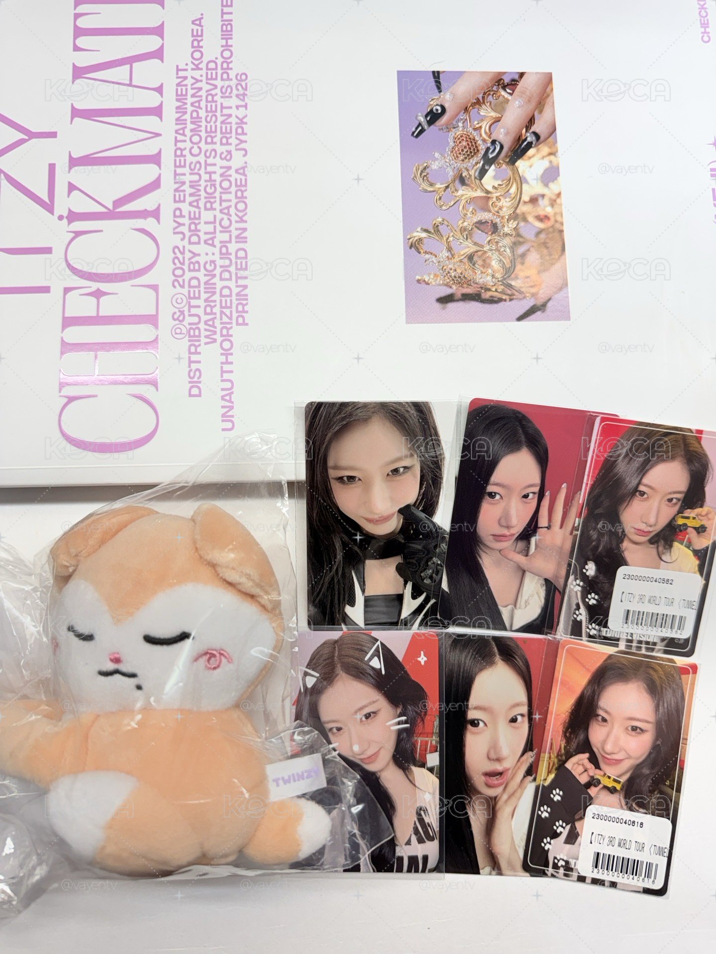 2026 FM fans TWINZY 手燈套 RyeoWoo