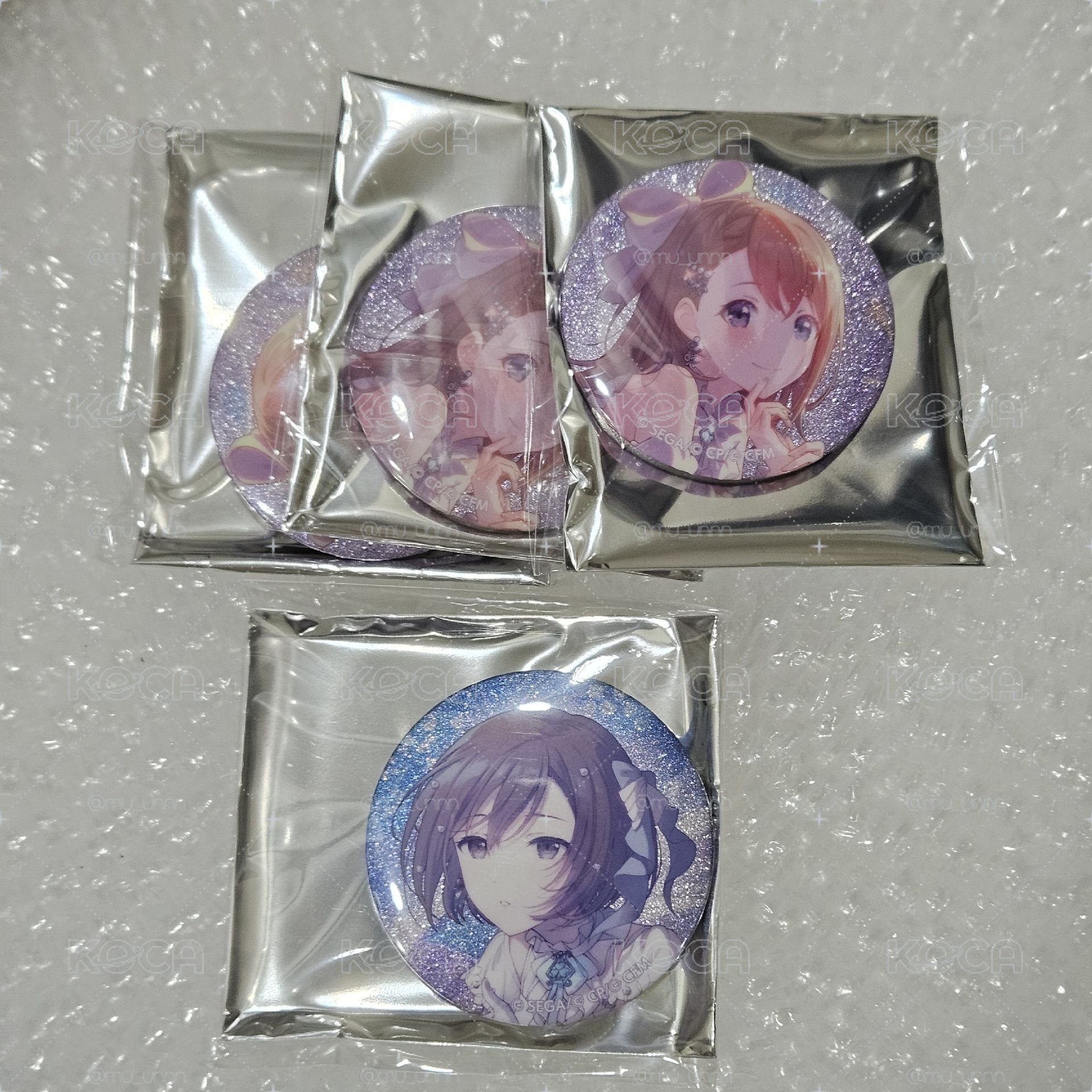 世界計畫 徽章