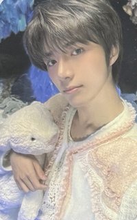 抱兔圭