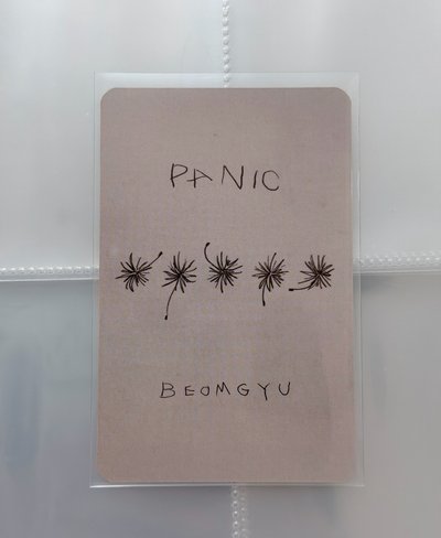 圭 Panic mp 特典