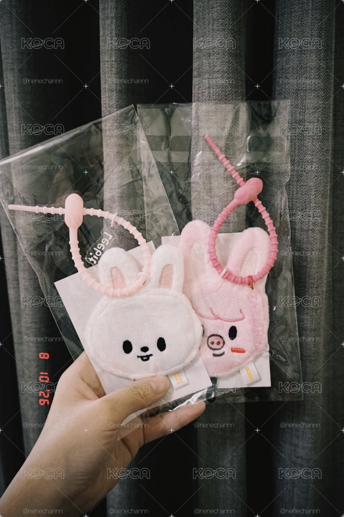 四巡小扇 剩🐽🐰！！
