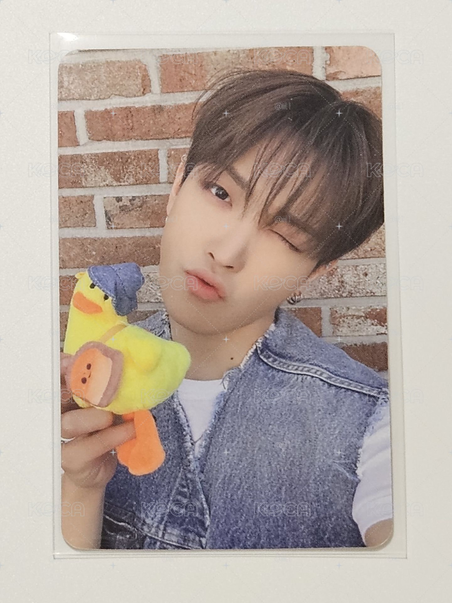 am鴨子中🦆