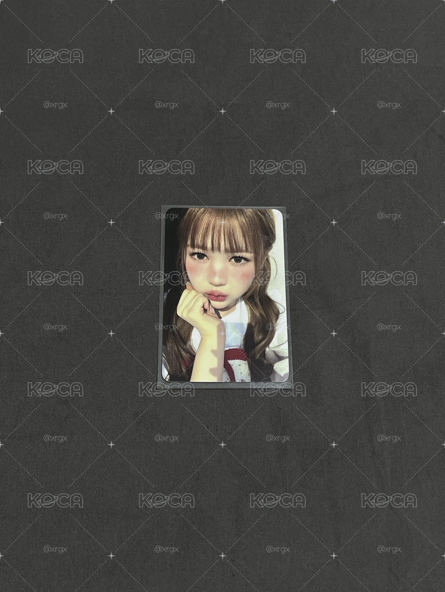 Focus hl幸運2.0 Yeon