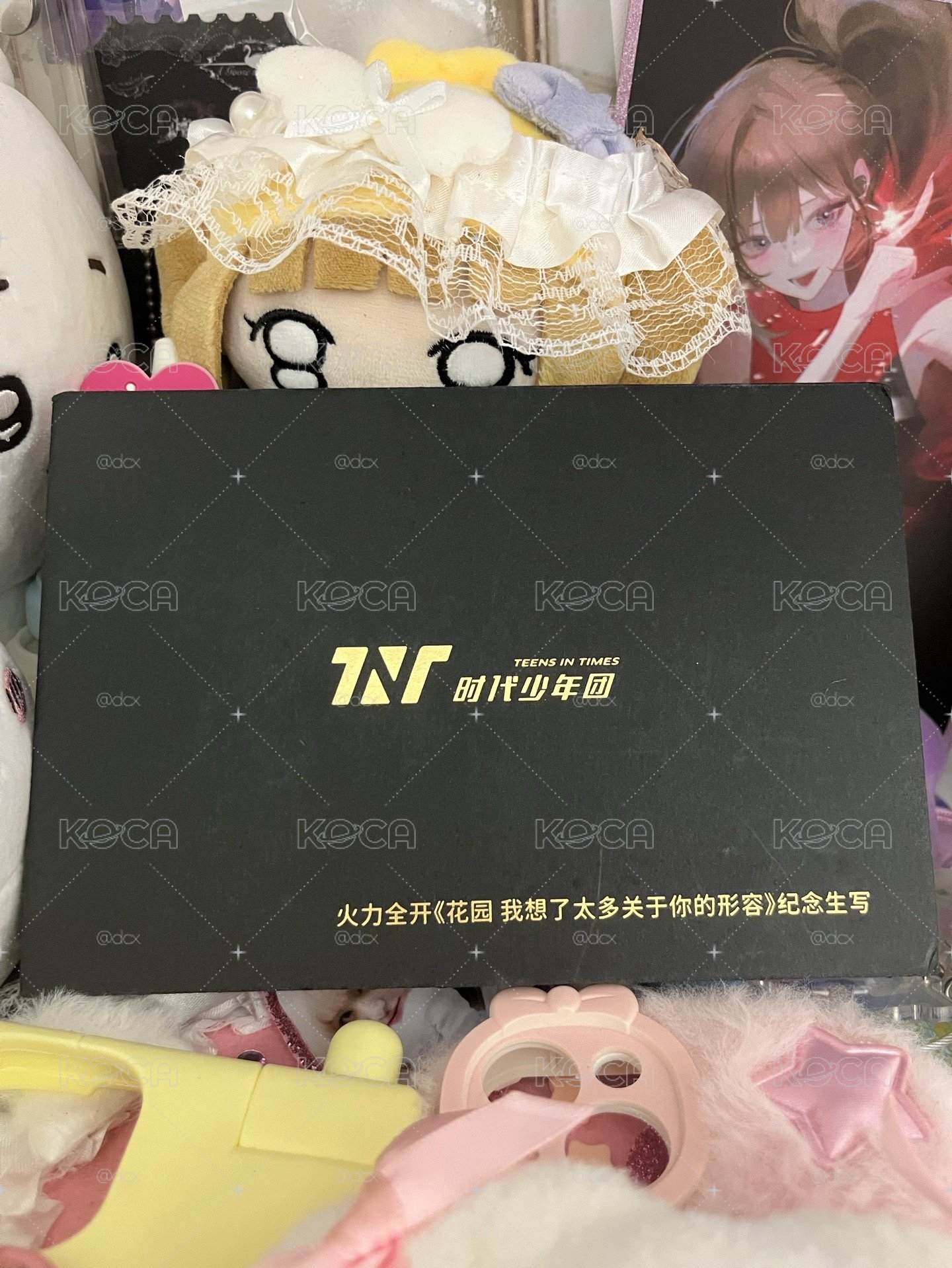 TNT 時代少年團 嚴浩翔賀峻霖 翔霖cp 二公 雙人生寫真 花園 我想了太多關於你的形容
