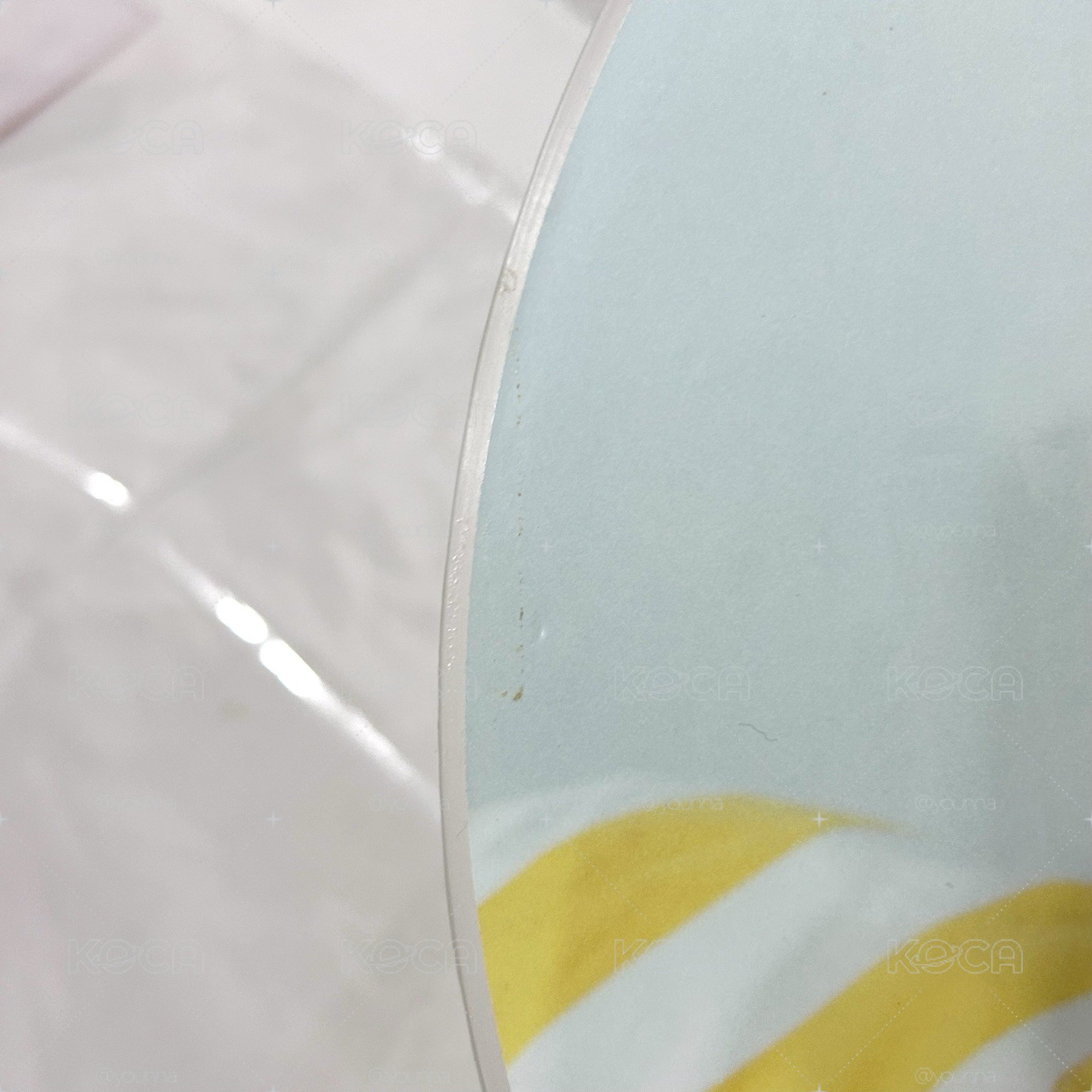 LY 王扇其