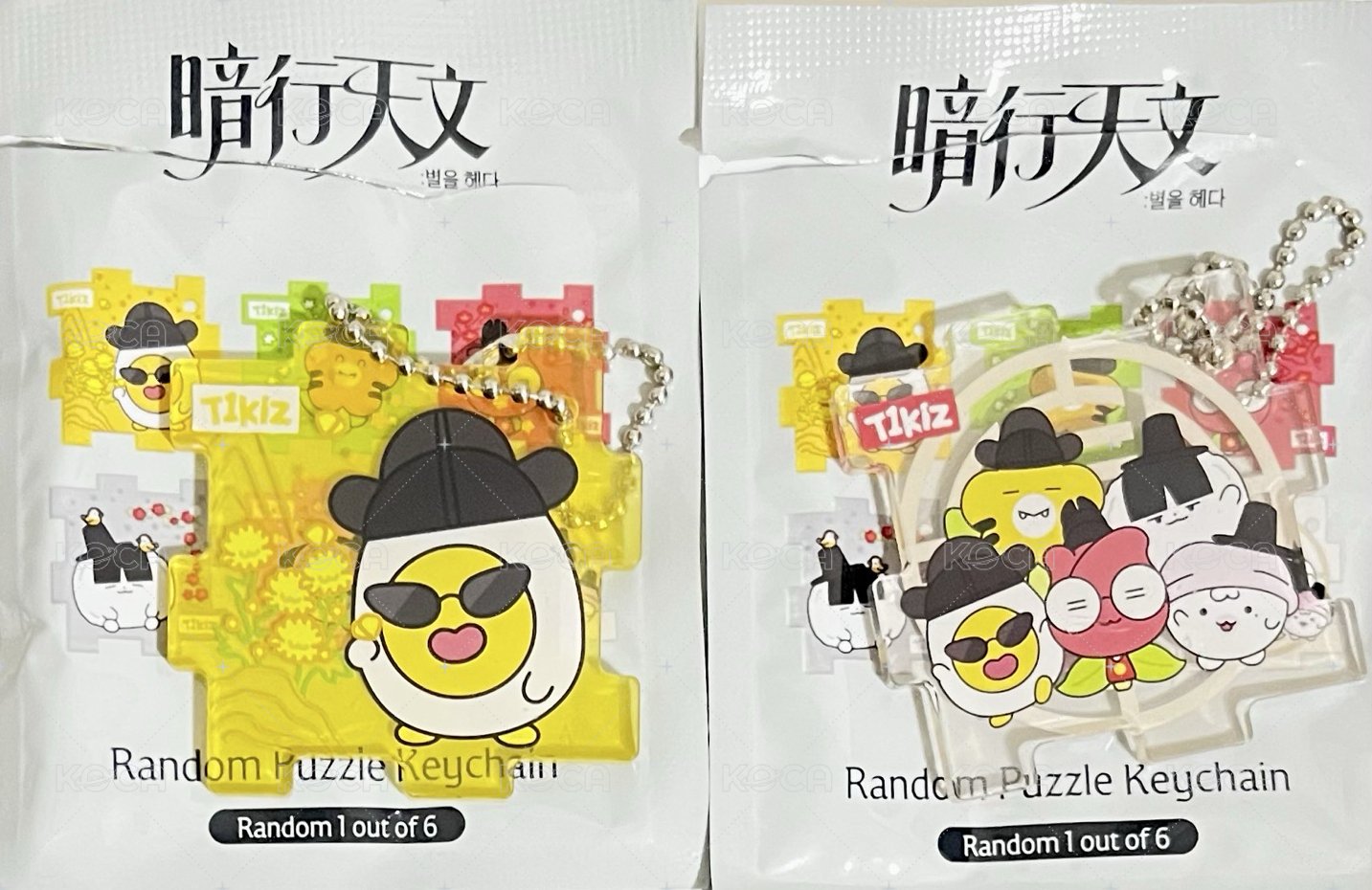 D+團體